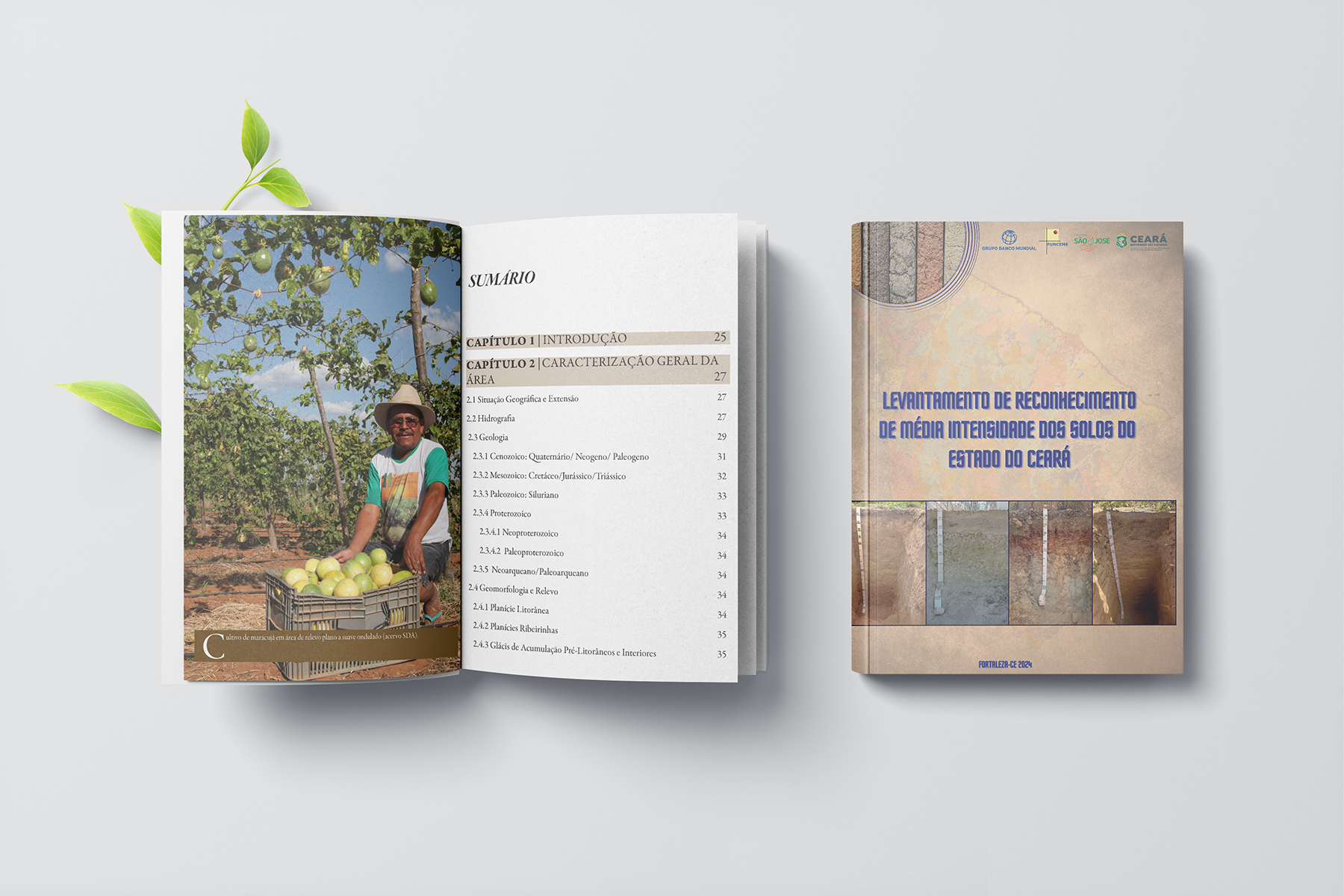 Levantamento de reconhecimento de média intensidade dos solos do Estado do Ceará